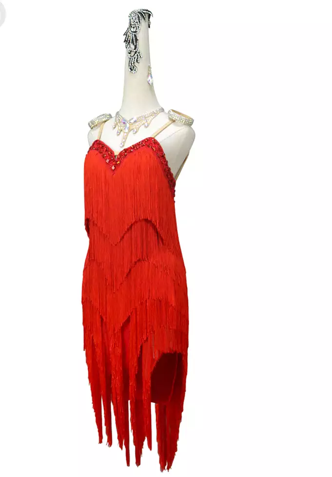 Affordable Fringe Latin Dress with Custom Fit | QY17