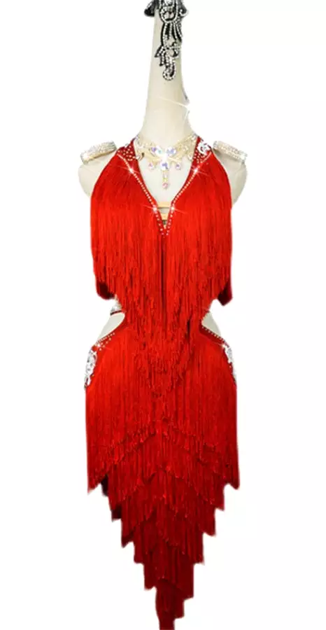 Fringe Glamour Latin Dance Dress | QY01