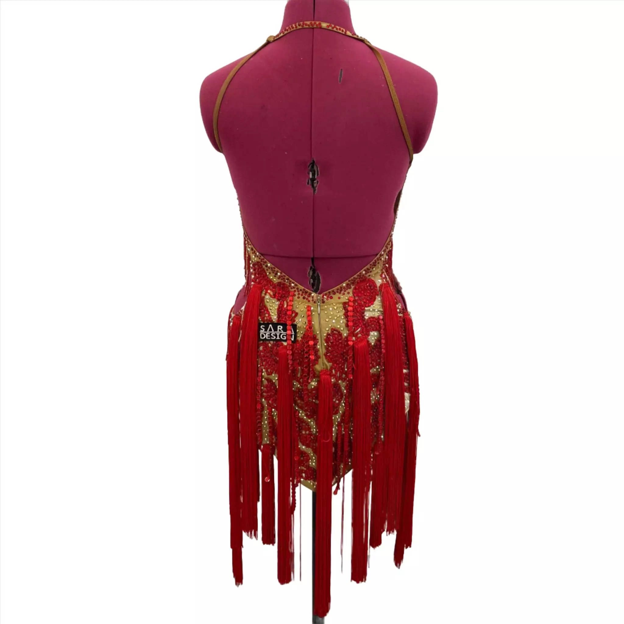 Gold and Vibrant Red Fringe Latin Dance Dress