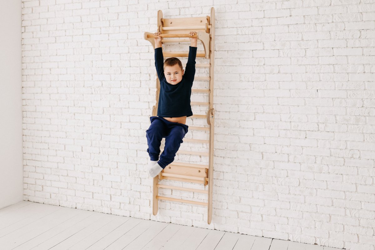 Gym Addition to the Climbing Ladders