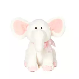 Ivy the Elephant