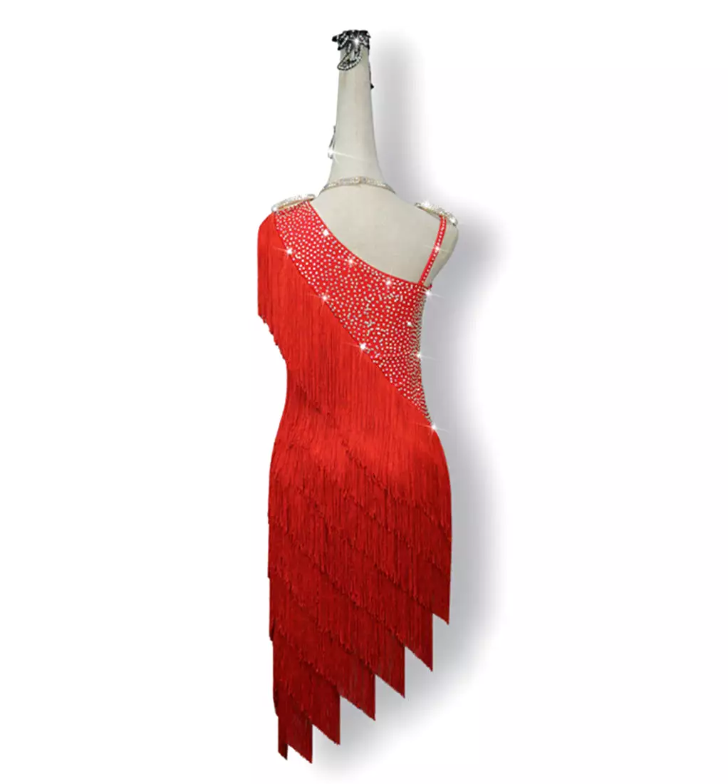 Latin Dance Dress | Custom - Made | QY09