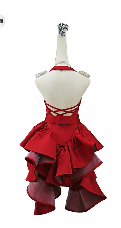 Latin Dance Dress | Custom - Made | QY20