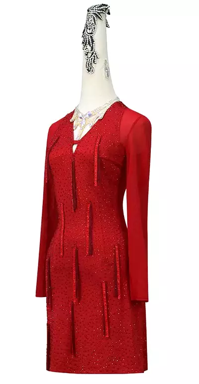 Latin Dance Dress | Custom - Made |QY21